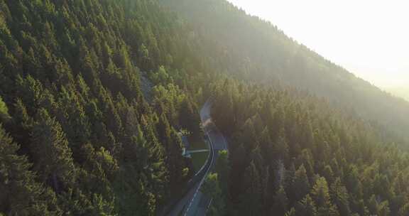 日出时森林中道路的空中俯视图