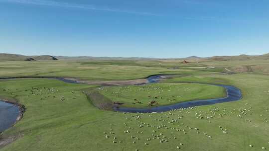 航拍草原牧场羊群马群视频素材模板下载