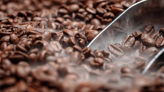咖啡豆视频素材模板下载