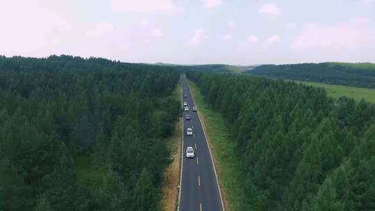 航拍野外公路森林汽车在路上行驶