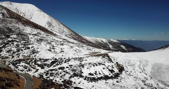 云南香格里拉德钦县白马雪山