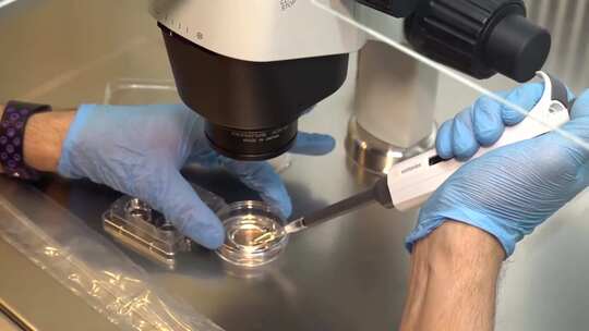 显微镜下的科学实验视频素材模板下载
