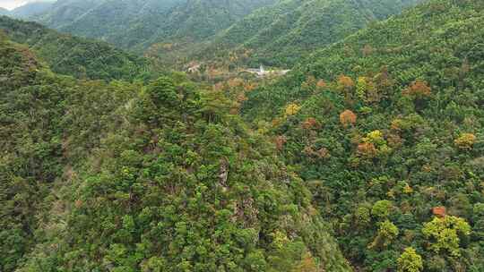 靖安隐仙谷山区6