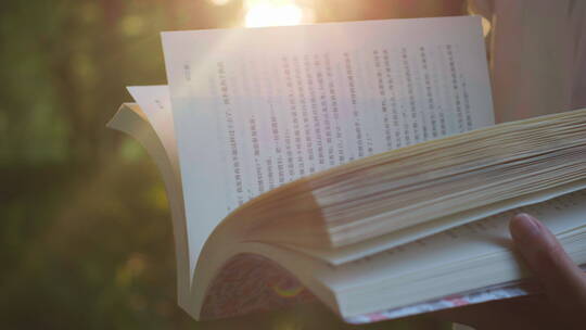 中国女性女人户外公园读书学习知识