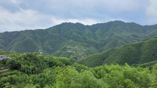 平塘马安竹海航拍 竹林森林云海