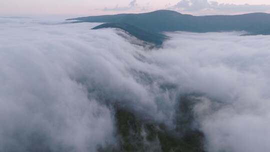 航拍森林 山谷 云海