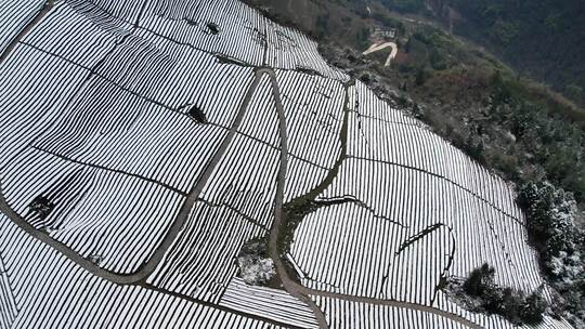 大自然寒潮冬天下雪的村庄田野航拍风景