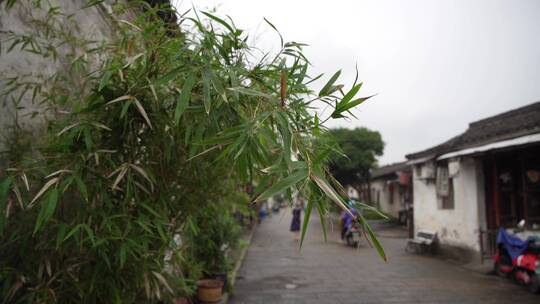 绍兴书圣故里江南水乡风景视频