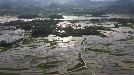 贵阳高坡稻田梯田景观