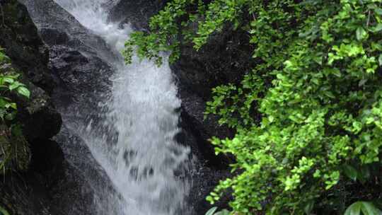 山泉水水源地