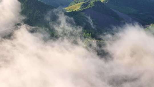 航拍高山草原森林树林云海云雾晴天阳光