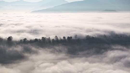 景迈山茶山云海日出视频素材模板下载