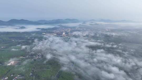 海南白沙茶园清晨平流雾航拍