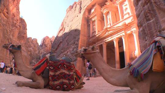 骆驼坐在财政部大楼前视频素材模板下载