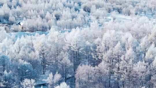 梦幻雪景森林雾凇北国风光