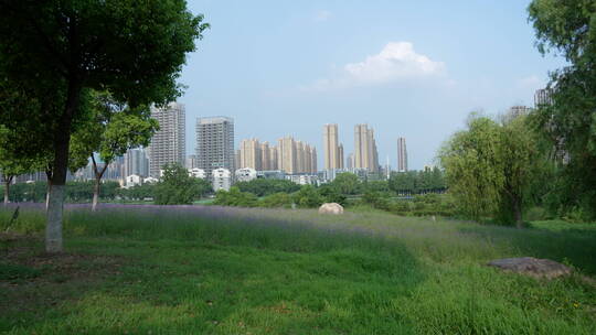 武汉市汉阳区墨水湖公园