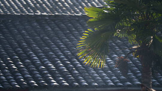 清晨村庄房子的屋顶视频素材模板下载