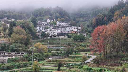 皖南雨后乡村的秋天