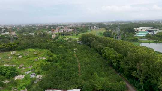 吴川橘红种植基地航拍视频素材合集