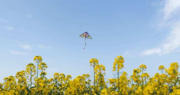 蓝天风筝 油菜花 春天气息 踏春 田野 花海