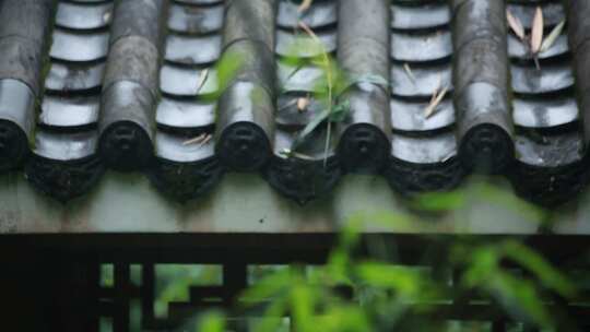 阴雨天意境中式古建筑古风屋檐屋顶竹子特写