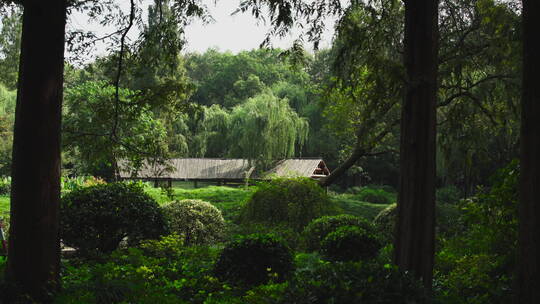 户外杭州西湖风景