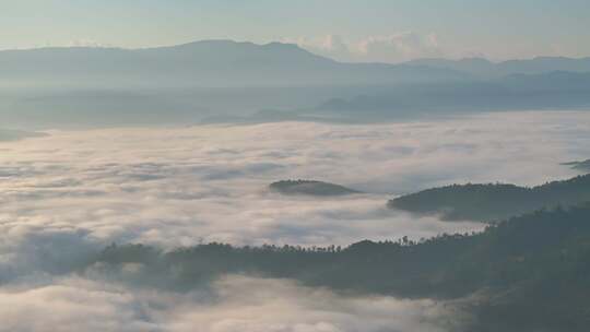 景迈山茶山云海日出