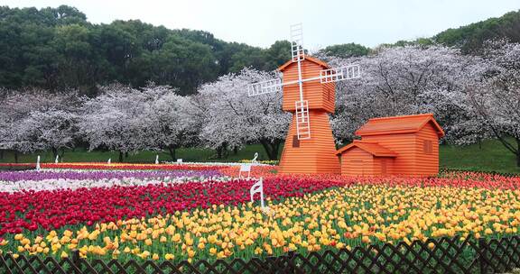 苏州上方山国家森林公园春天美丽景观