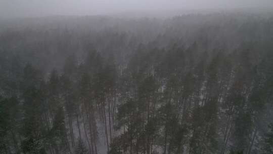 航拍冬天下雪的山林