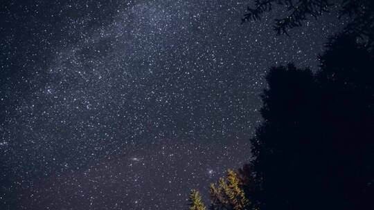 夜晚森林星空流星唯美延时