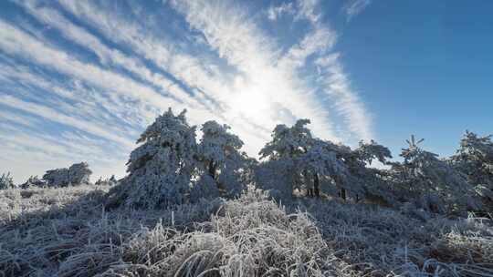 杭州临安百丈岭花岩石森林雪景延时