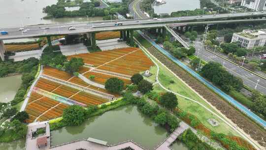 航拍福建福州城市花海公园