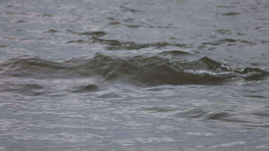 水流慢动作流水升格视频