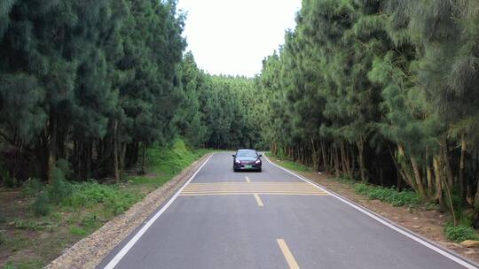 汽车行驶在森林公路旅行自驾游旅途