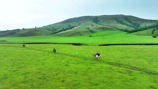 呼伦贝尔草原罕乌拉山下牧民赛马