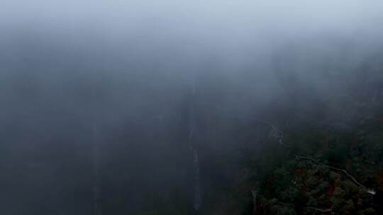 高清实拍眉山洪雅瓦屋山森林瀑布彩虹