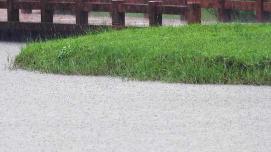 暴雨天雨滴落在草地上