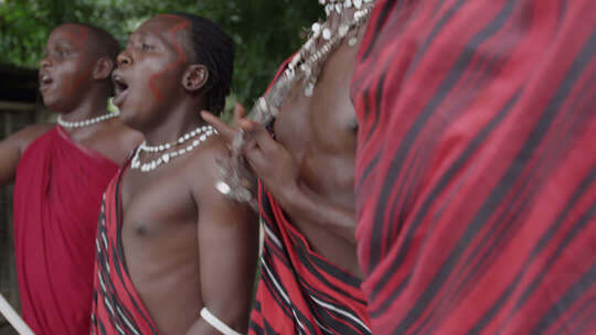 非洲马赛人穿传统服装跳舞唱歌