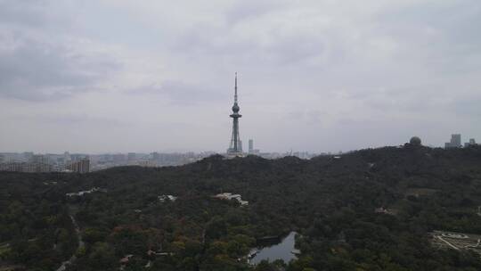 青岛中山公园汇泉广场航拍