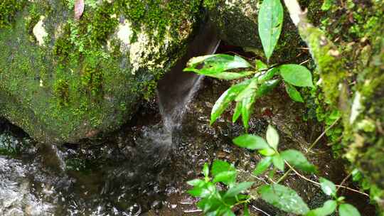 森林流水大自然小溪水瀑布山涧水源泉水山水