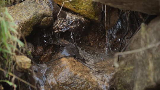 河流 溪流 溪水 泉水 水源 山水