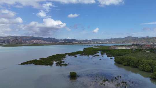 惠州盐洲海洋湿地公园-红树林湿地风光