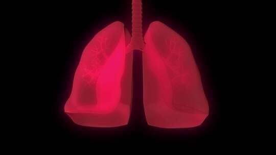 人体肺部吸入病毒动画带通道视频素材模板下载