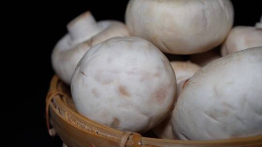 口蘑白蘑菇食材氨基酸