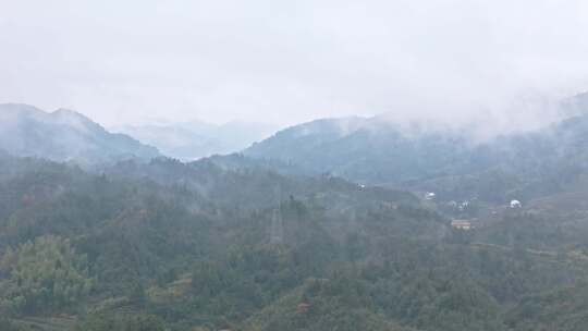 云雾缭绕的山林风光全景