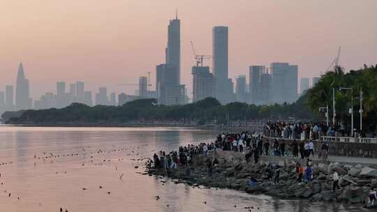 深圳湾公园观鸟人群