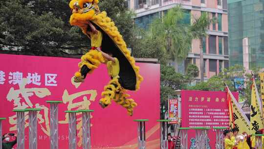 舞狮醒狮传统节日表演