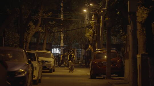 路灯 夜晚空镜 道路夜景