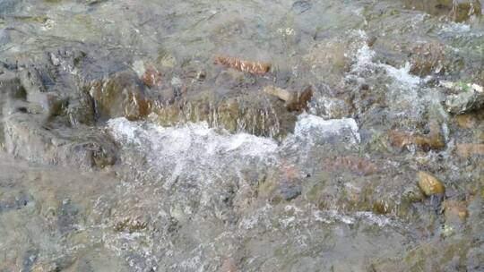 流动的水河水水流