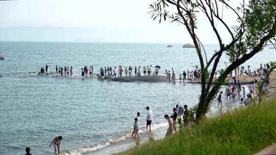 厦门 环岛路 海边 沙滩 人文 生活 周末